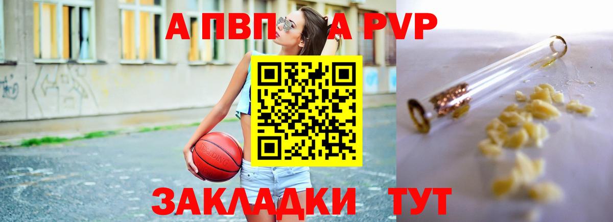 Альфа ПВП СК Назрань