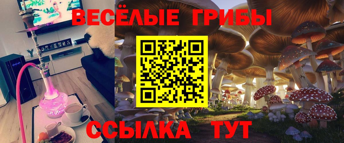 Галлюциногенные грибы MAGIC MUSHROOMS  Вход с VPN  Псилоцибиновые грибы мицелий  Назрань 